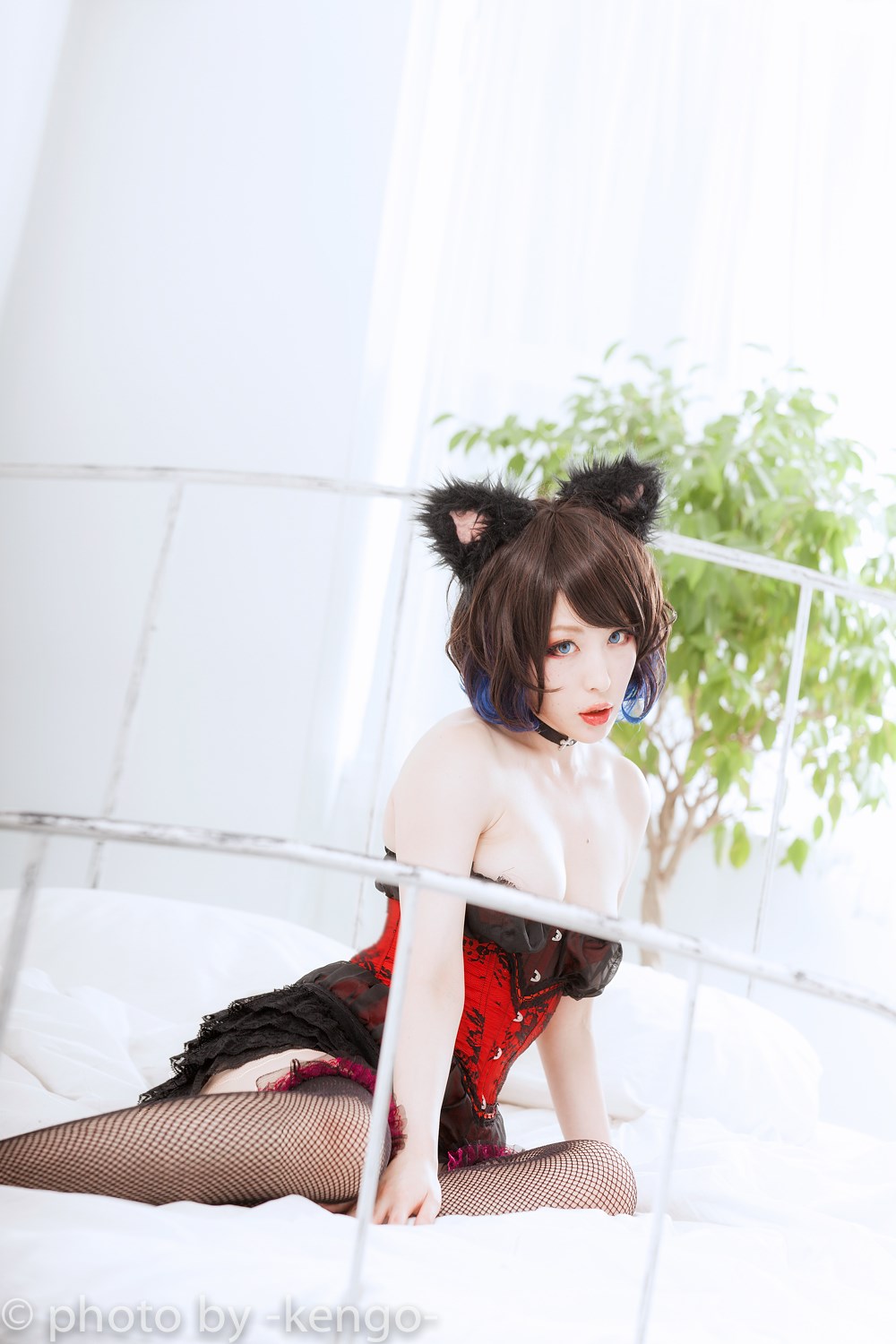 COS-猫solo(40)